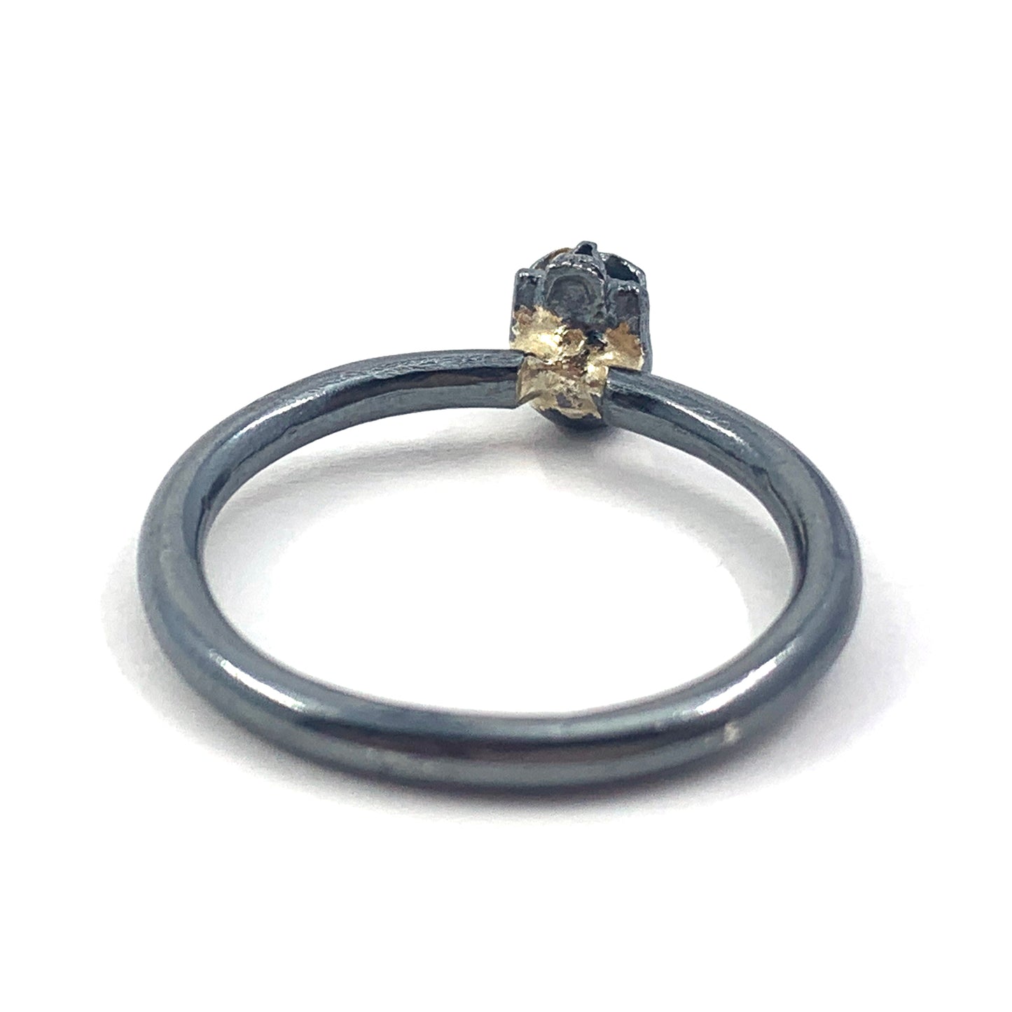 Skully Ring with 14k Gold #1