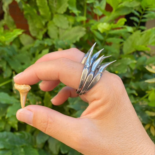 Shark Tooth Ring Stack