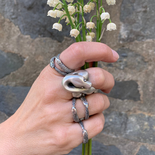 Hognose Snake Ring
