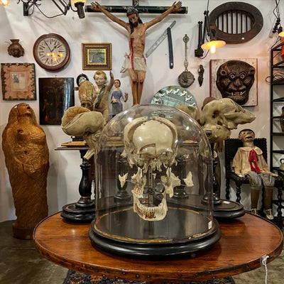 The Oddities Flea Market (NYC)