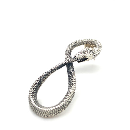 Ouroboros Infinity Python Earrings