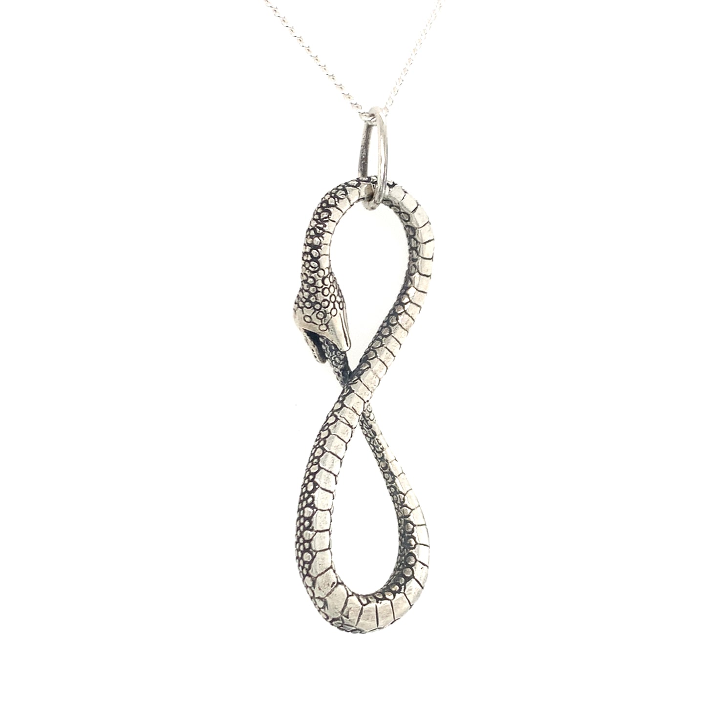 Ouroboros Infinity Python Pendant