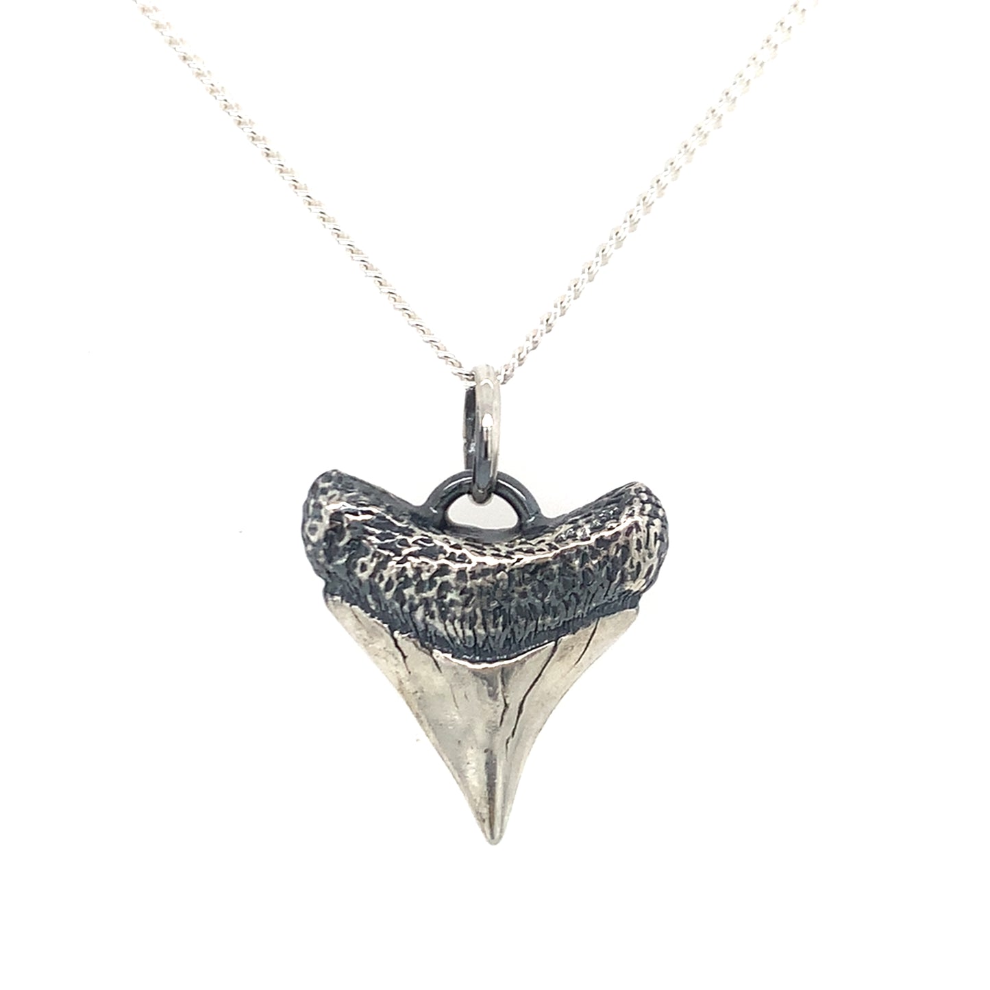 Shark Tooth Pendant