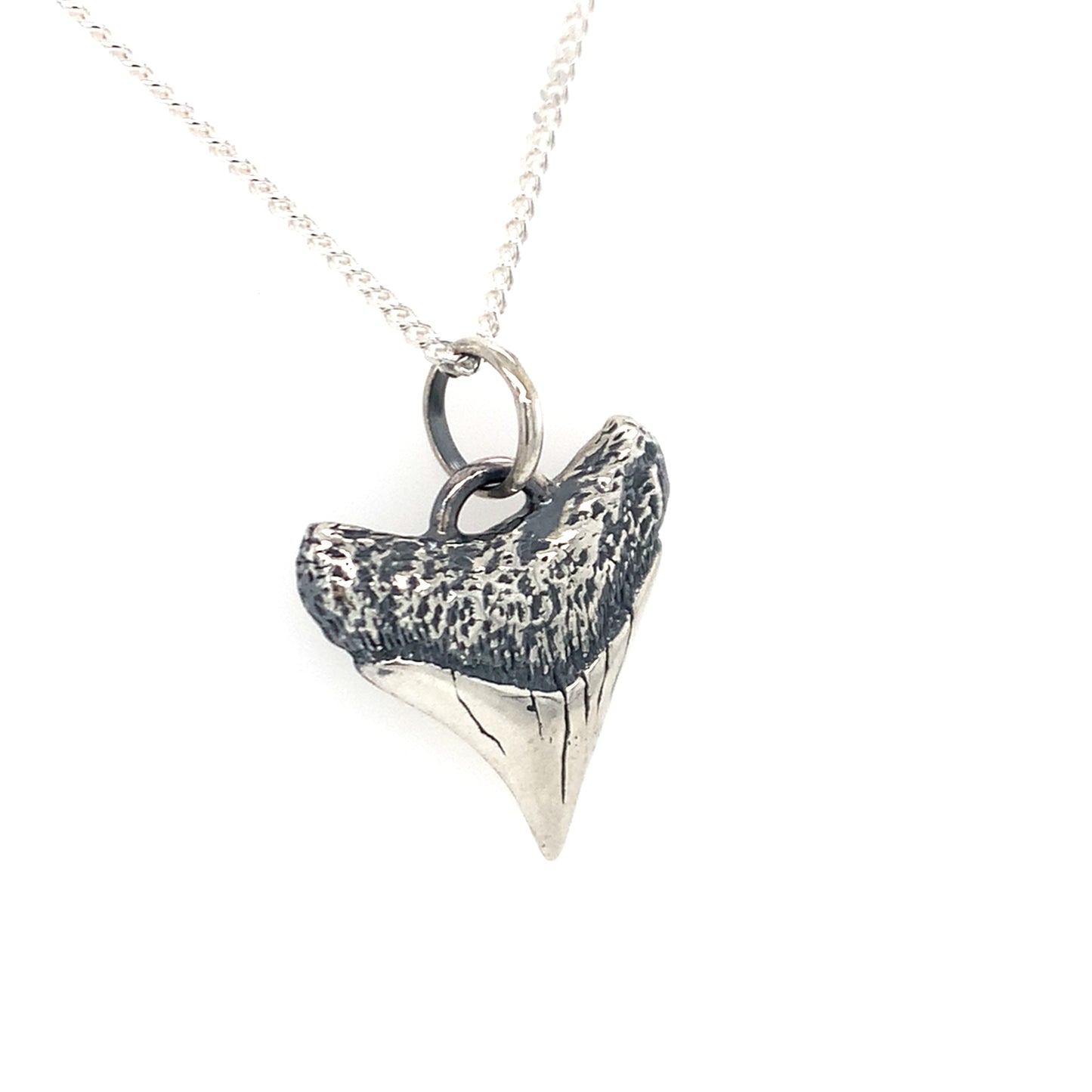 Shark Tooth Pendant