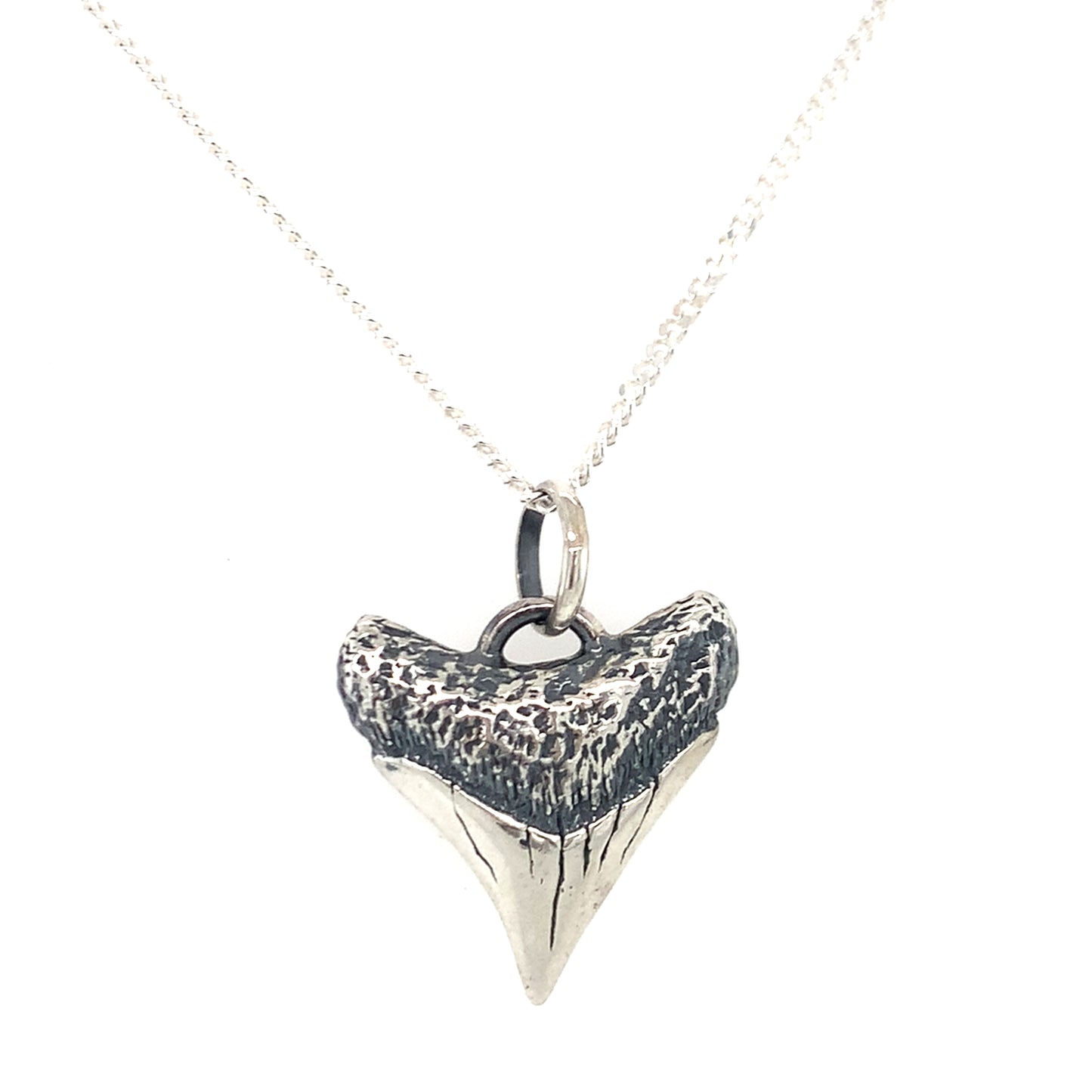 Shark Tooth Pendant