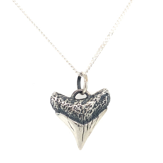 Shark Tooth Pendant