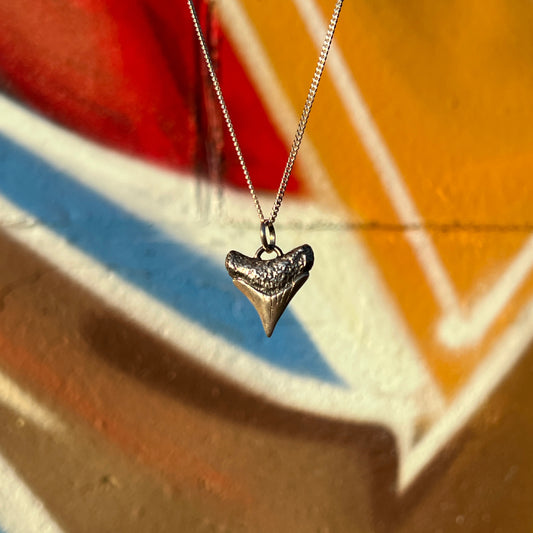 Shark Tooth Pendant