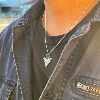 Shark Tooth Pendant