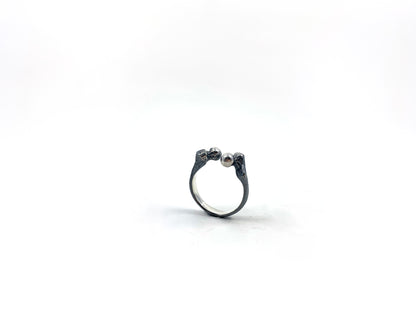Femur Ring