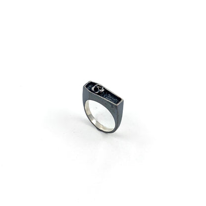 Coffin and Skull Ring